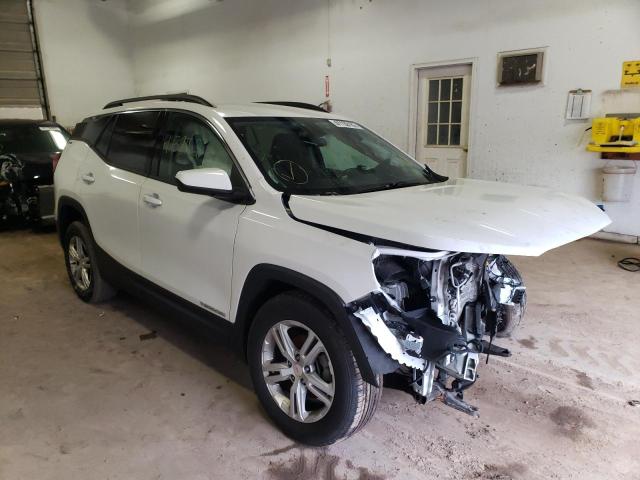 GMC TERRAIN SL 2018 with VIN 3GKALTEV3JL377660 - Photo from auction