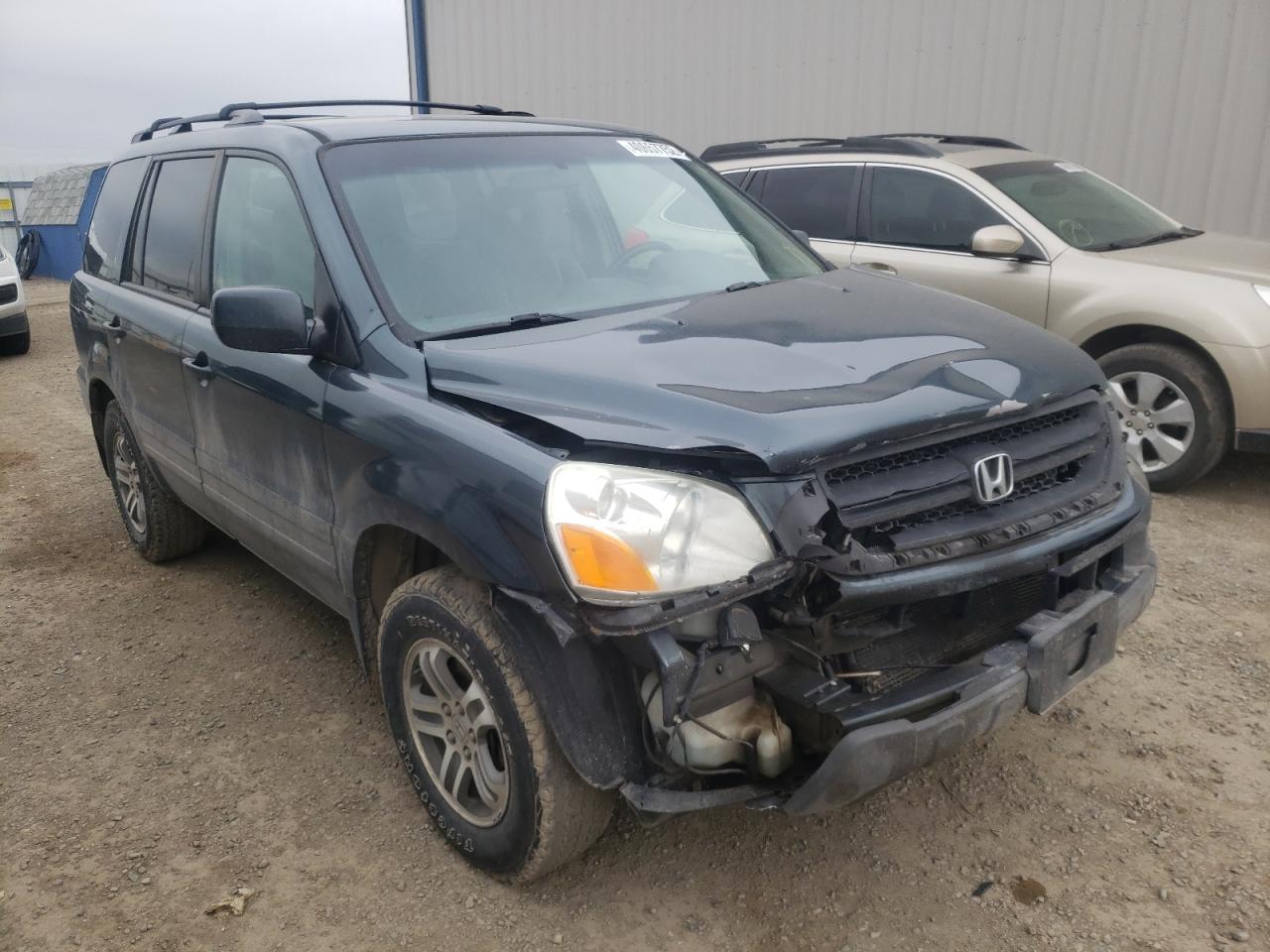 HONDA PILOT EX 2004 with VIN 5FNYF18464B009307 - Photo from auction