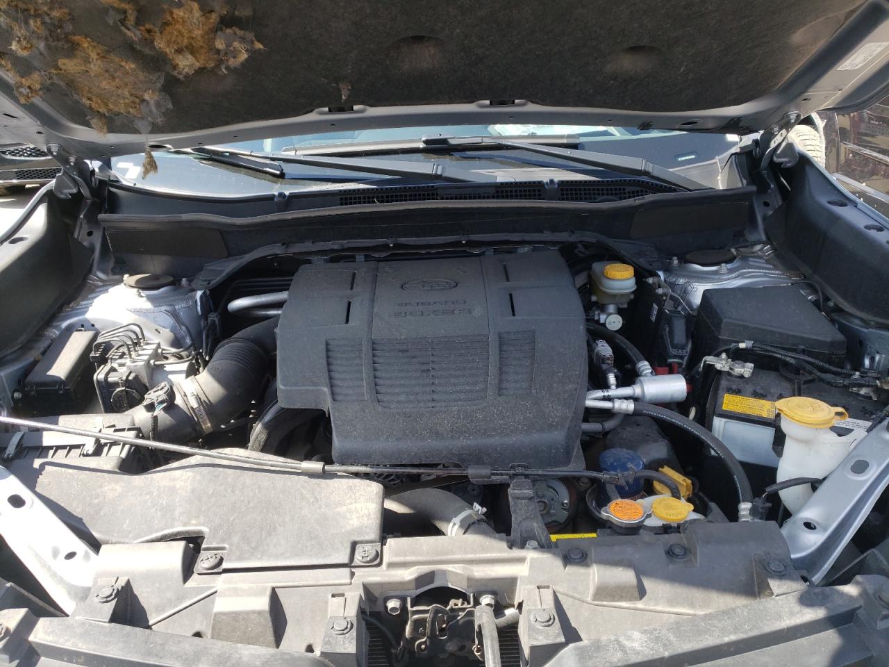 Photo 7 from auction – 2019 SUBARU FORESTER P with VIN JF2SKAEC5KH424095