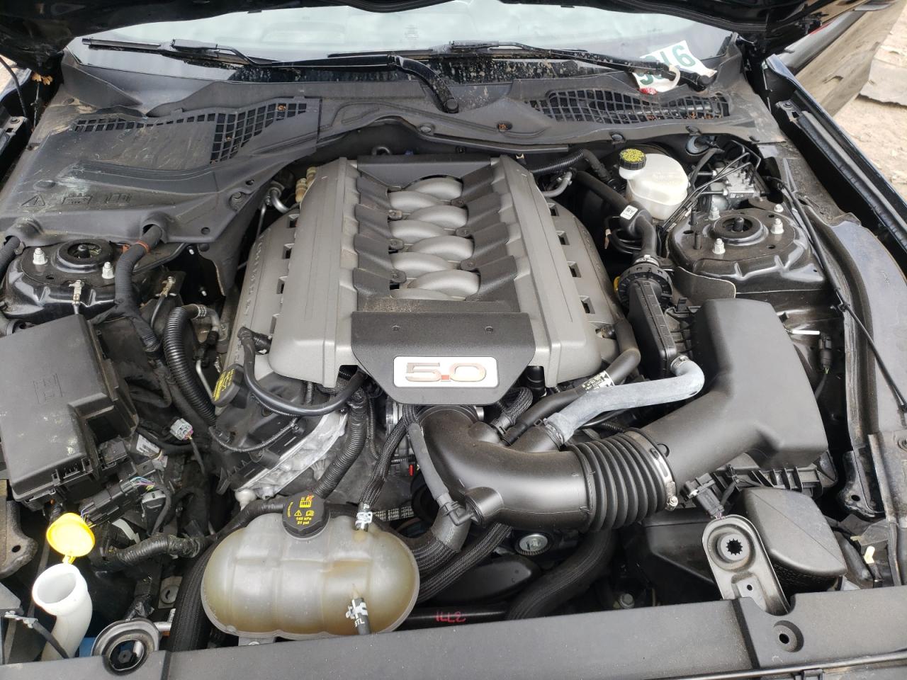 Photo 7 from auction – 2015 FORD MUSTANG GT with VIN 1FA6P8CF6F5317366