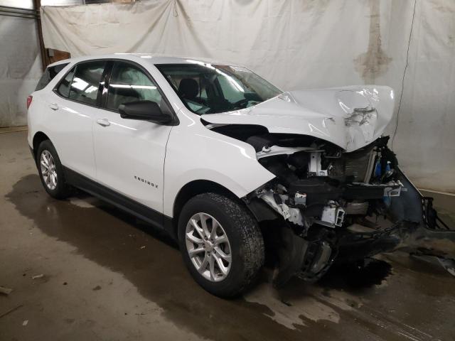 CHEVROLET EQUINOX LS 2019 with VIN 3GNAXSEV6KL124397 - Photo from auction