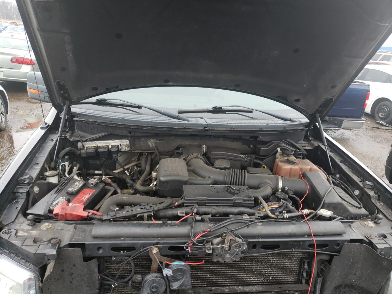 Photo 7 from auction – 2010 FORD F150 SUPER with VIN 1FTFW1EV3AFA69296