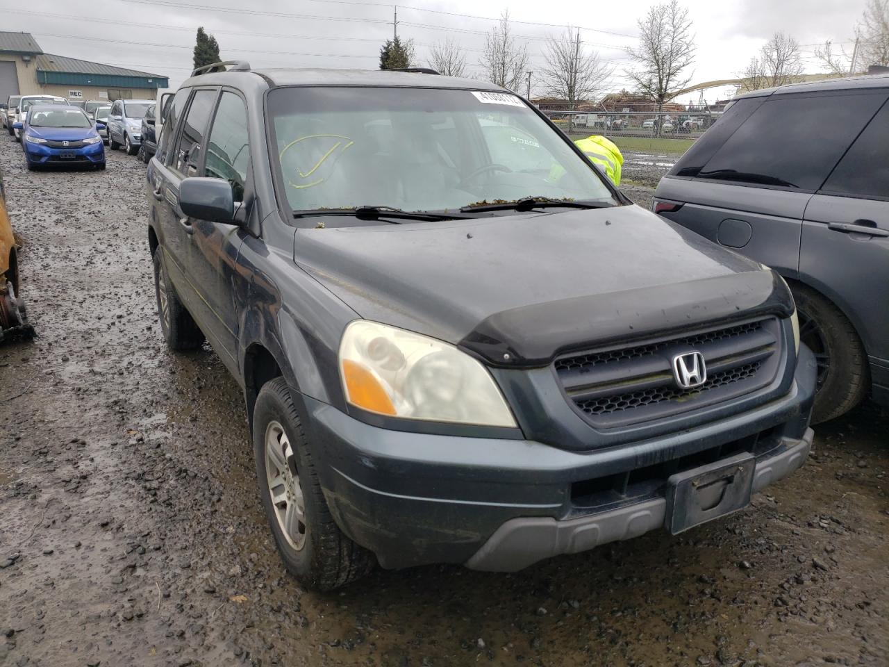HONDA PILOT EXL 2004 with VIN 2HKYF185X4H567817 - Photo from auction