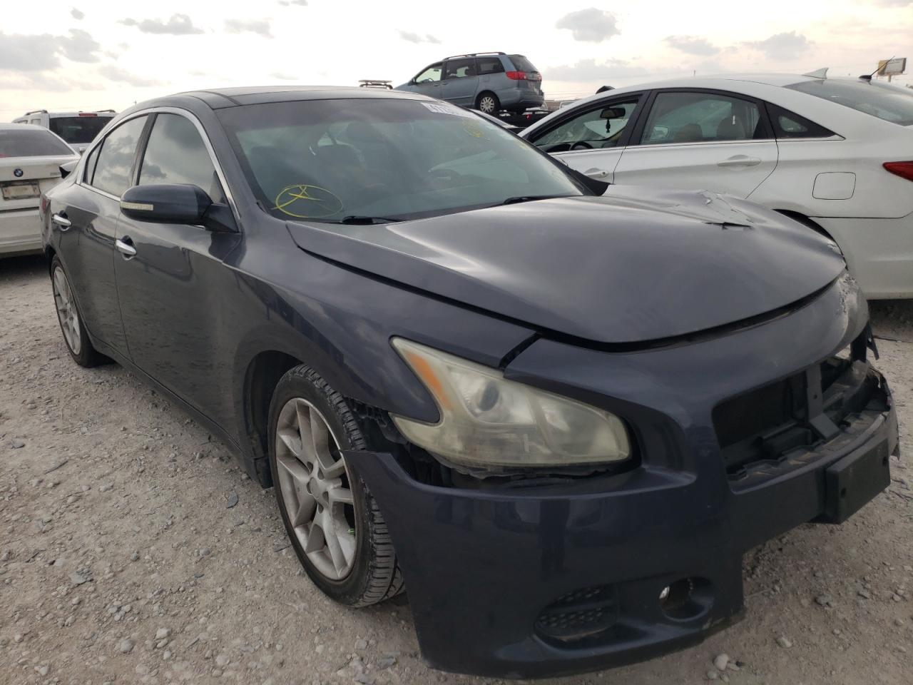 NISSAN MAXIMA S 2010 with VIN 1N4AA5AP1AC807532 - Photo from auction