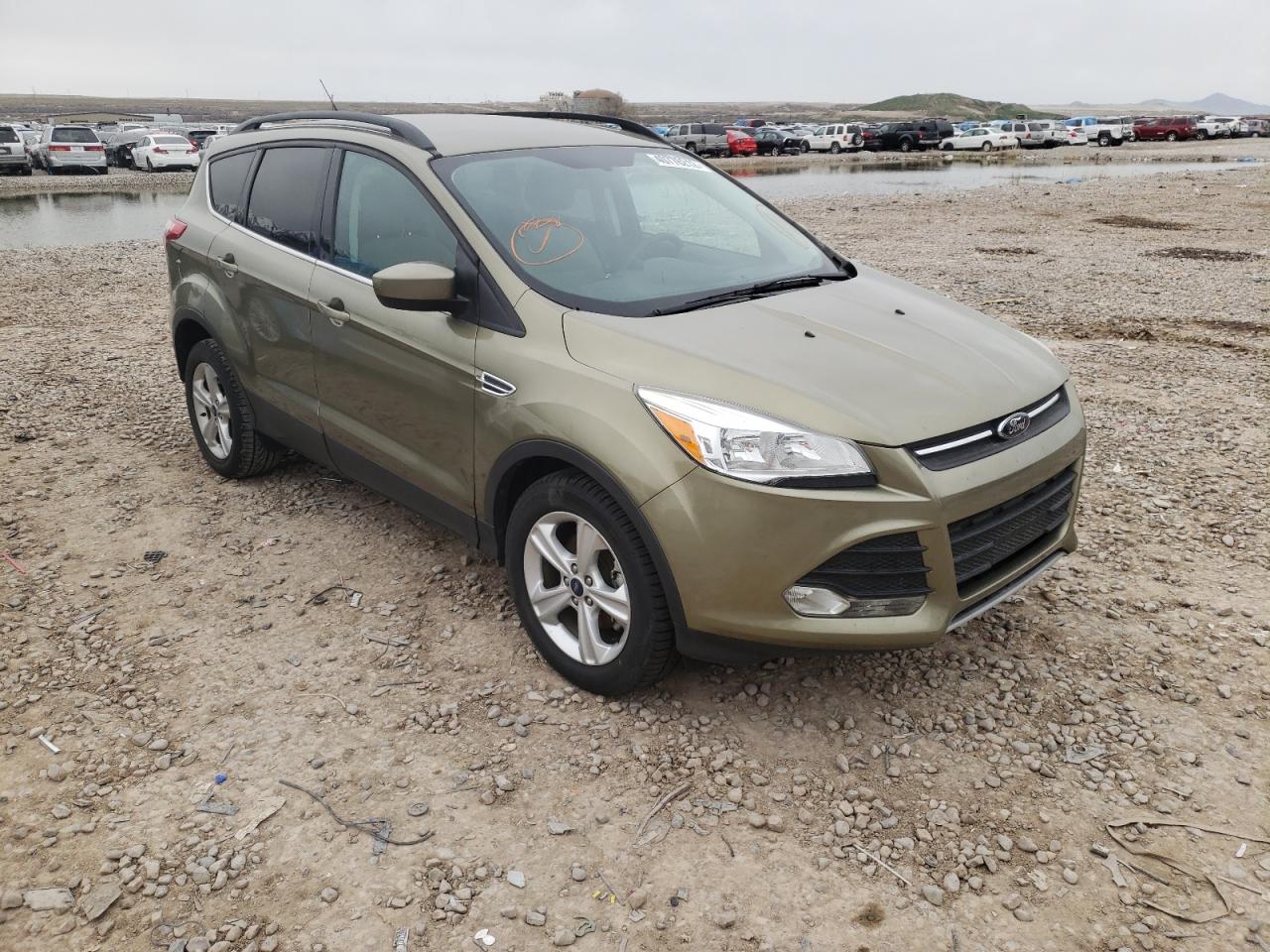 FORD ESCAPE TIT 2013 with VIN 1FMCU0GX7EUB08969 - Photo from auction