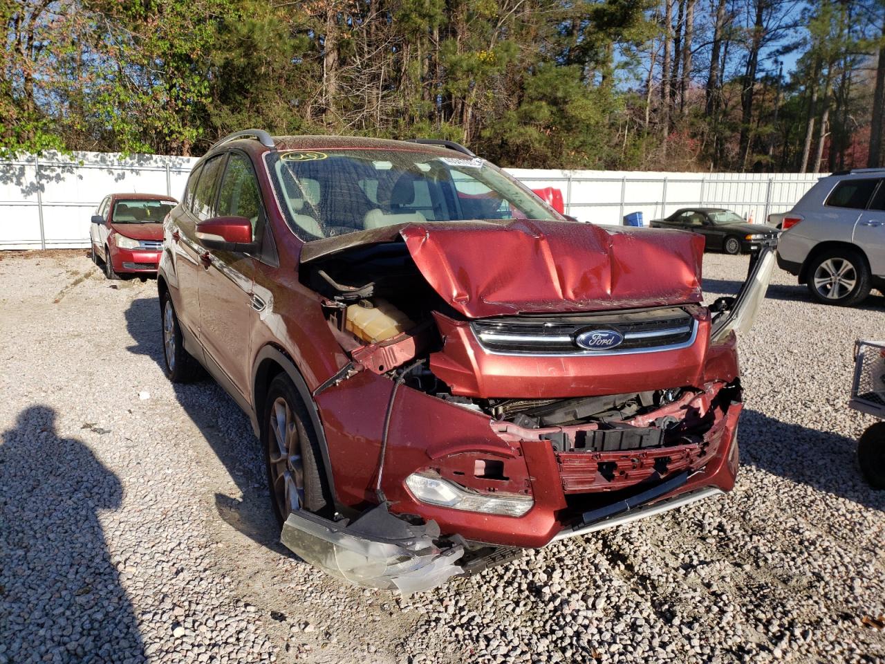 FORD ESCAPE TIT 2014 with VIN 1FMCU0J9XEUB02528 - Photo from auction