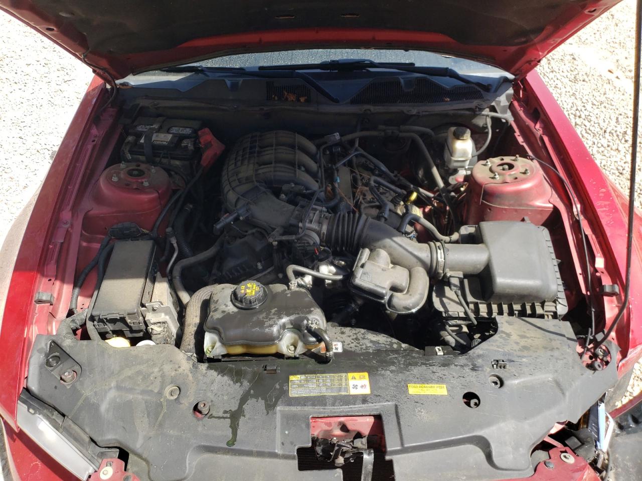 Photo 7 from auction – 2012 FORD MUSTANG with VIN 1ZVBP8AM0C5280382