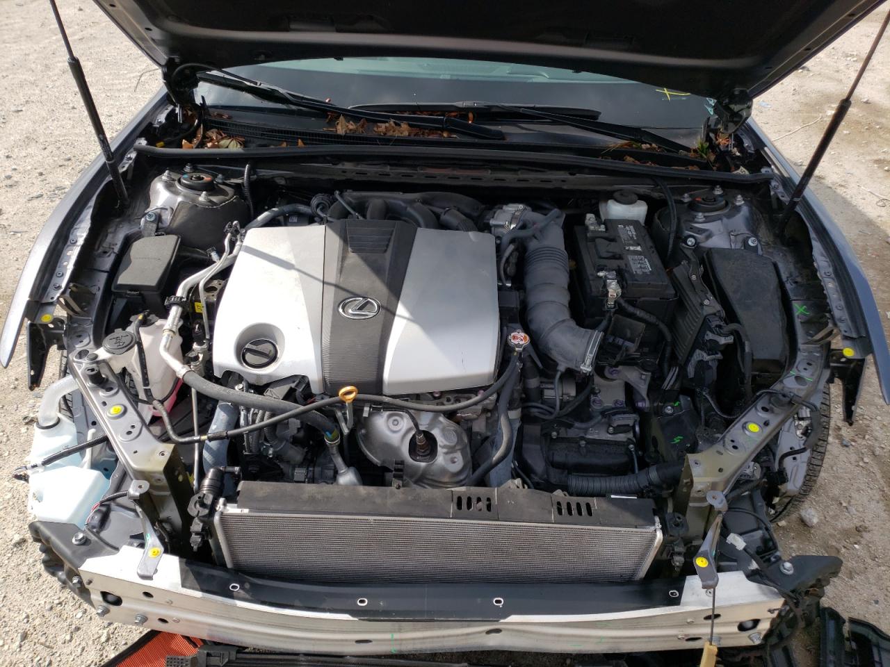 Photo 7 from auction – 2019 LEXUS ES 350 with VIN 58ABZ1B11KU038881
