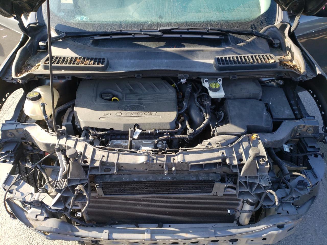 Photo 7 from auction – 2017 FORD ESCAPE SE with VIN 1FMCU0GD9HUA74902