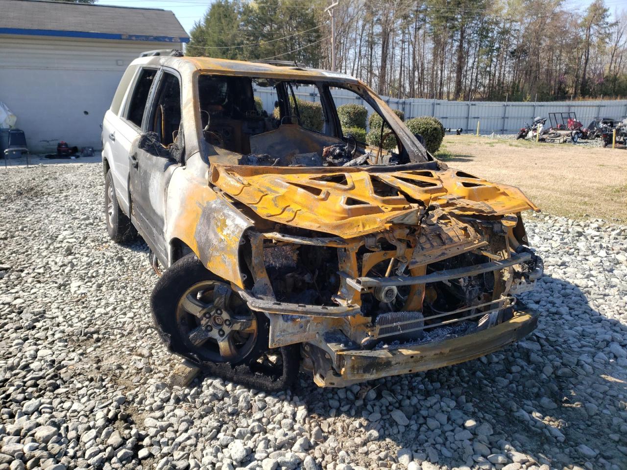 HONDA PILOT EXL 2005 with VIN 5FNYF18545B038461 - Photo from auction