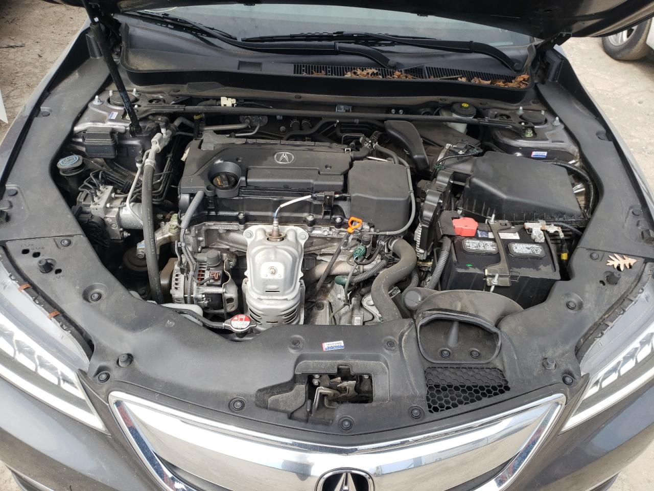 Photo 7 from auction – 2017 ACURA TLX with VIN 19UUB1F36HA002796