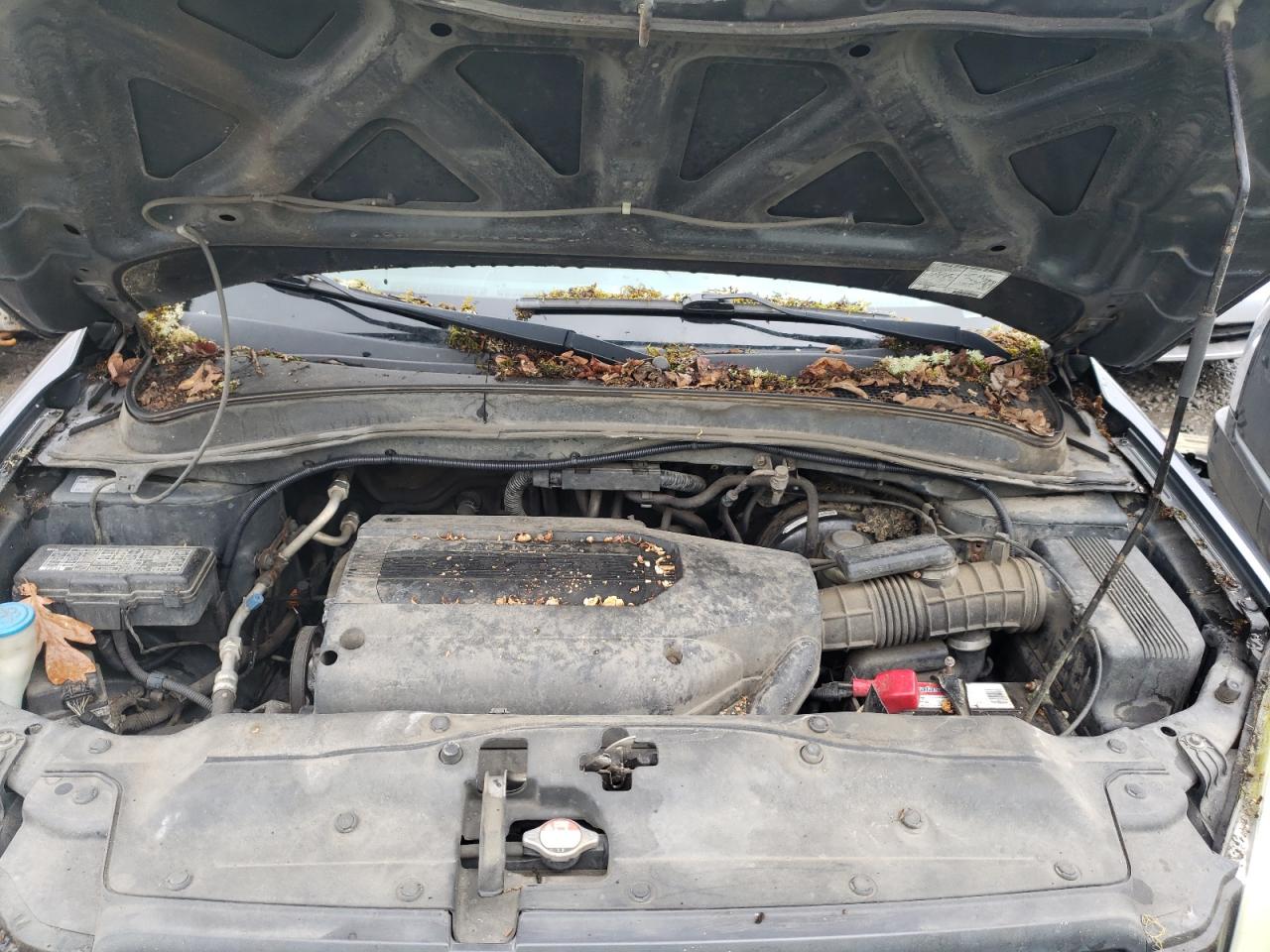 Photo 7 from auction – 2004 HONDA PILOT EXL with VIN 2HKYF185X4H567817