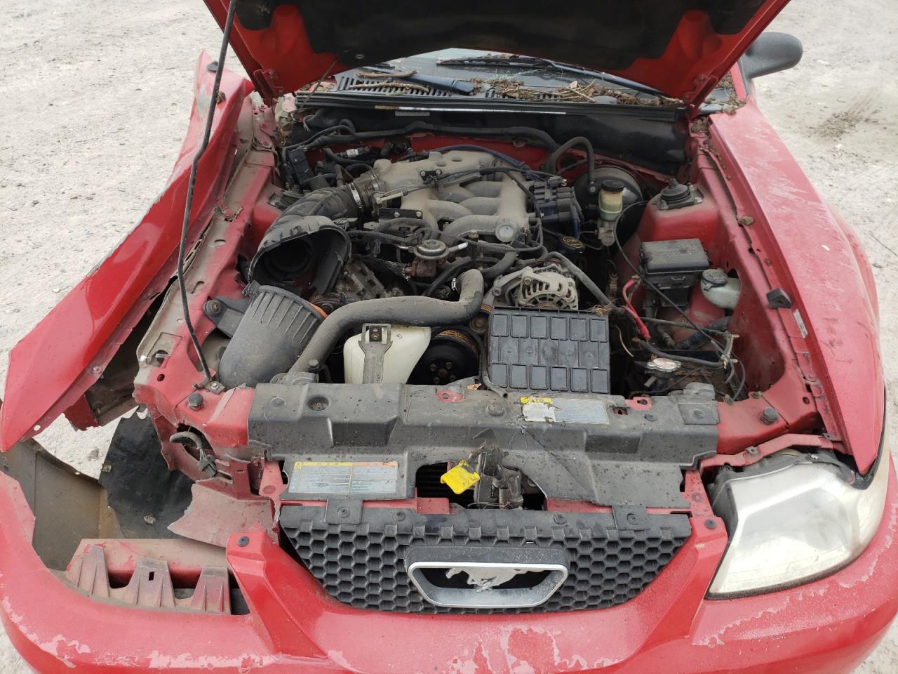 Photo 7 from auction – 2002 FORD MUSTANG with VIN 1FAFP404X2F102573