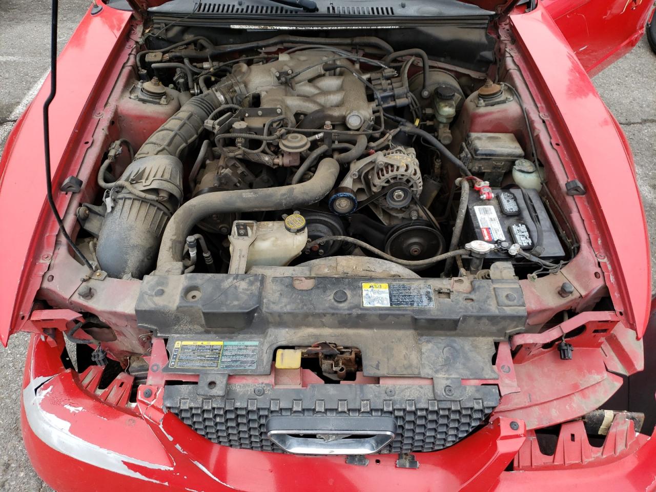 Photo 7 from auction – 2003 FORD MUSTANG with VIN 1FAFP404X3F311281