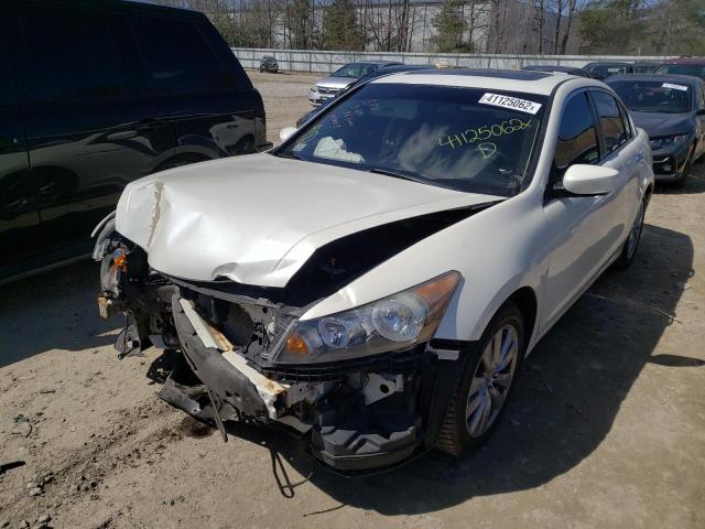 Photo 2 from auction – 2011 HONDA ACCORD EXL with VIN 1HGCP3F85BA006138
