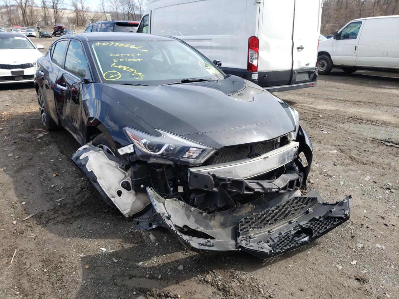 NISSAN MAXIMA 3.5 2017 with VIN 1N4AA6AP1HC443287 - Photo from auction