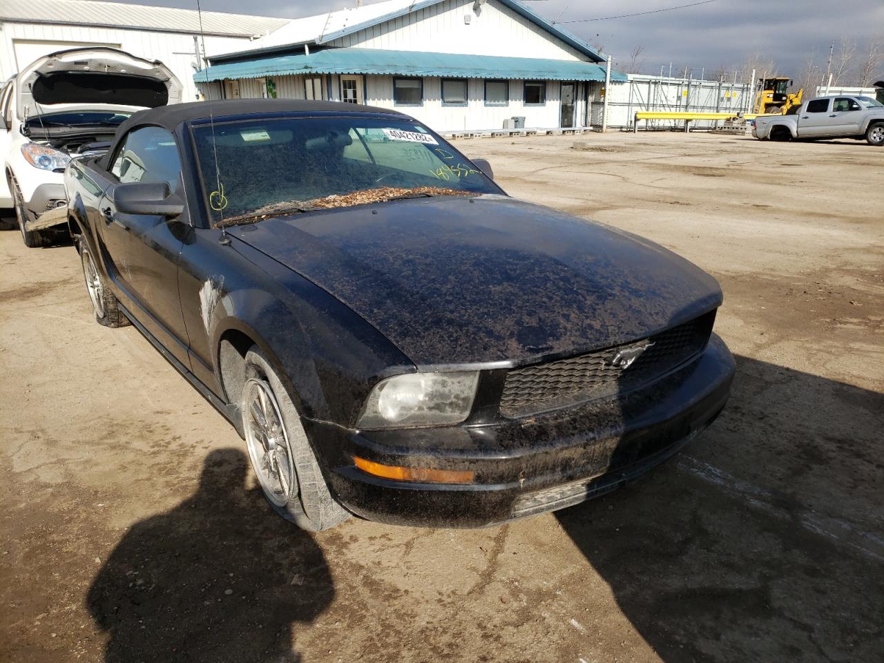 Photo 1 from auction – 2005 FORD MUSTANG with VIN 1ZVFT84N655184552