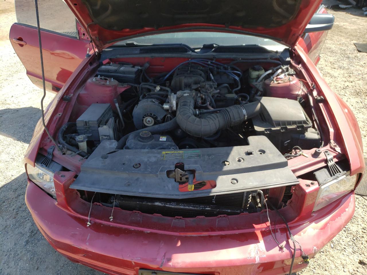 Photo 7 from auction – 2005 FORD MUSTANG with VIN 1ZVFT80N455130057