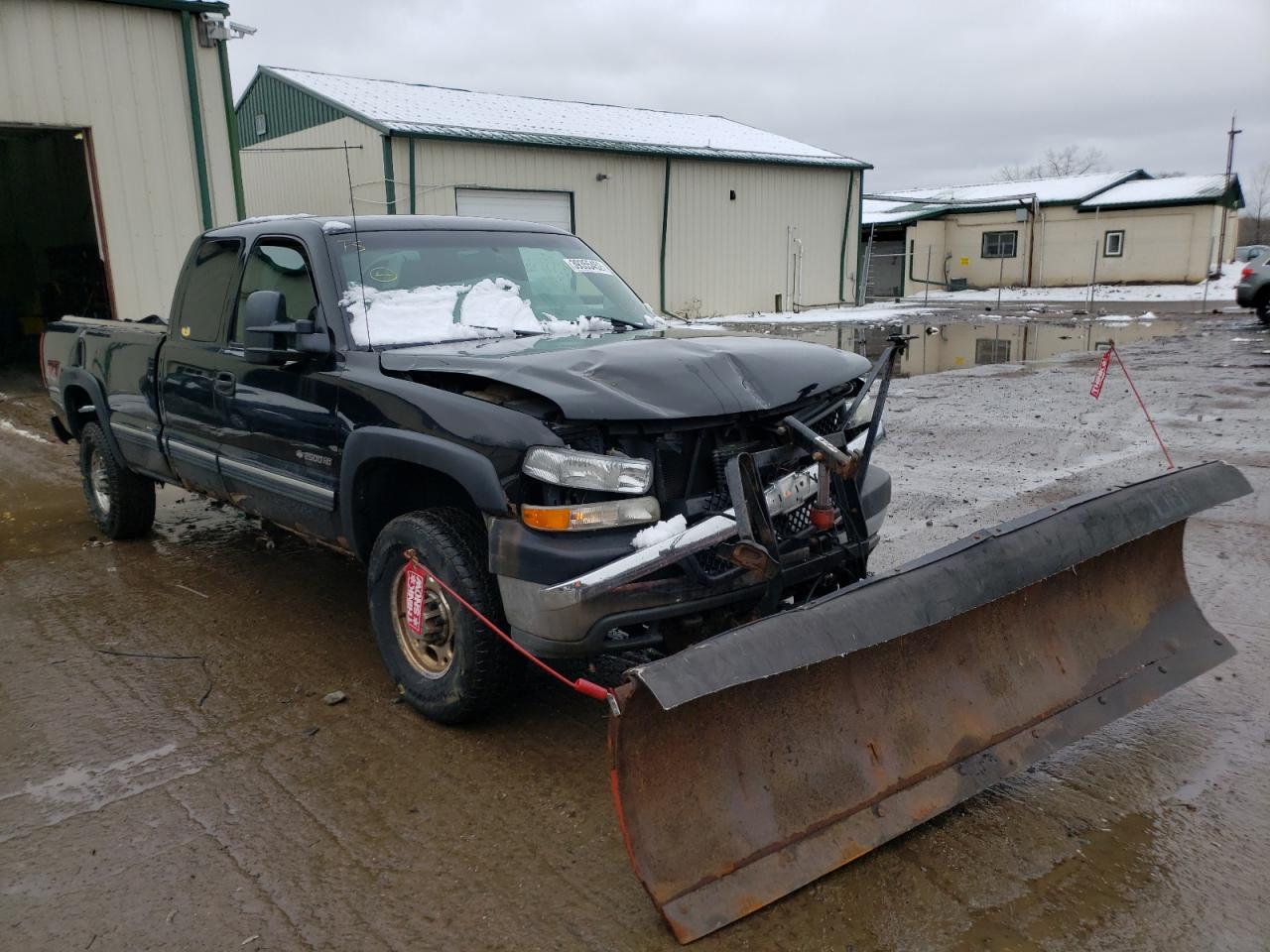 CHEVROLET SILVERADO 2002 with VIN 1GCHK29G32E165233 - Photo from auction
