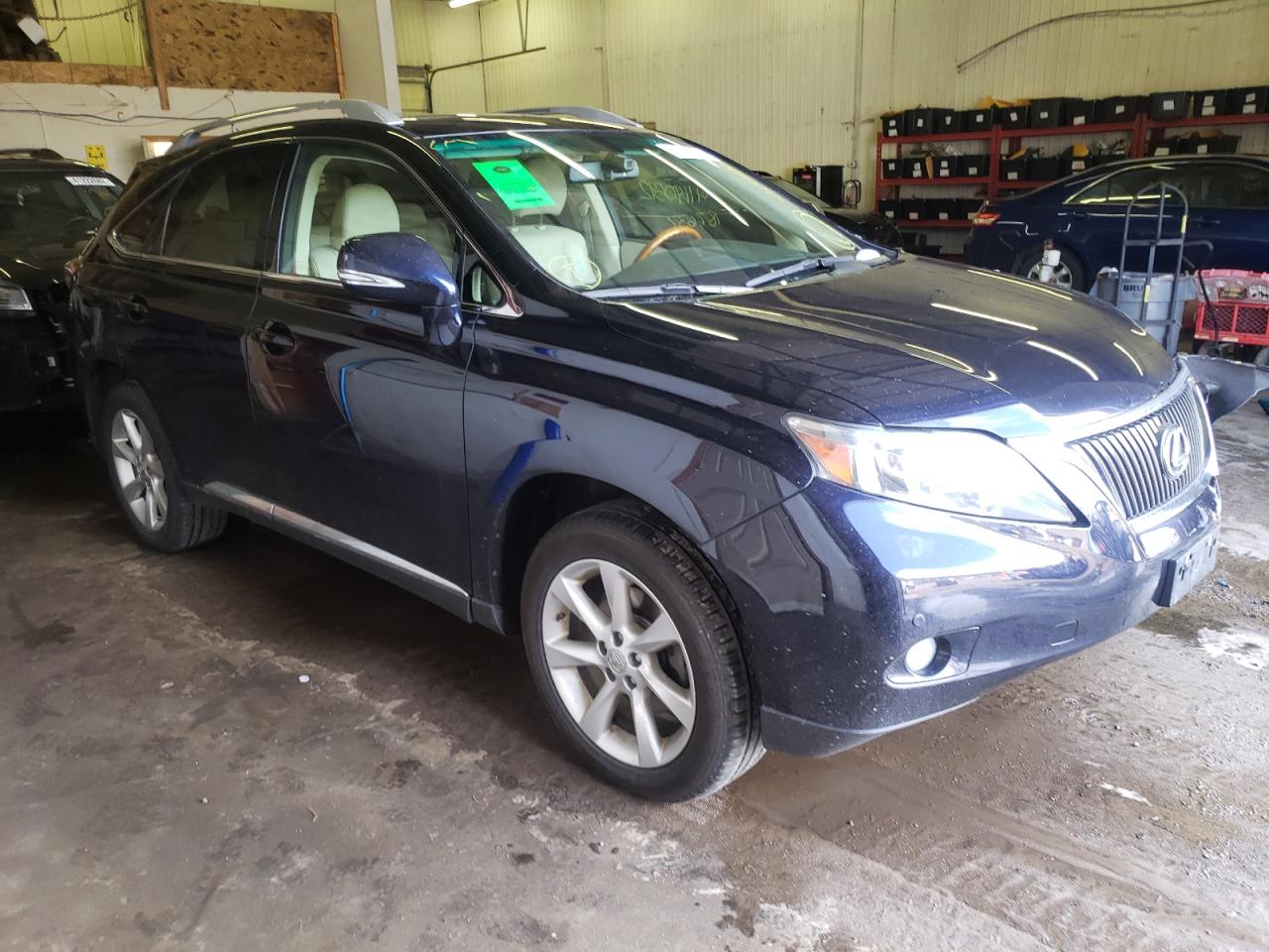 LEXUS RX 350 2010 with VIN JTJBK1BA5A2404249 - Photo from auction