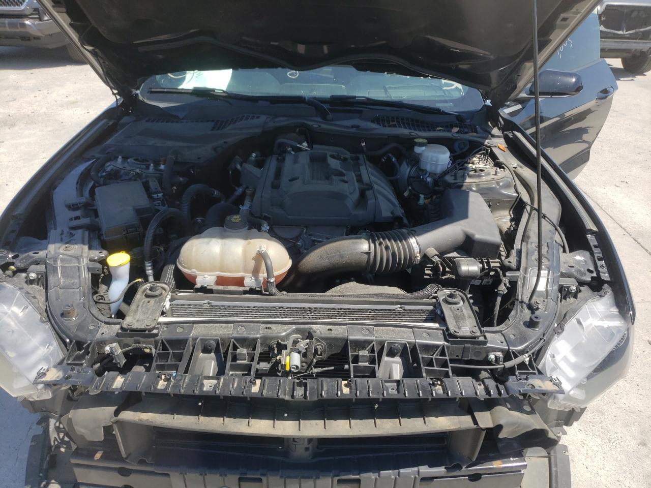 Photo 7 from auction – 2019 FORD MUSTANG with VIN 1FA6P8THXK5129400