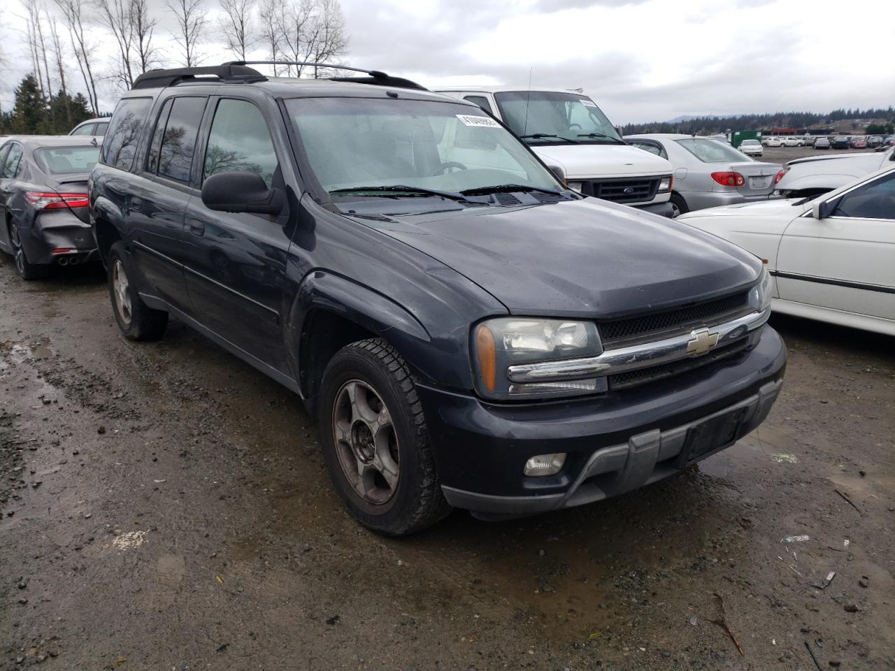 CHEVROLET TRAILBLAZE 2006 with VIN 1GNET16S466156809 - Photo from auction