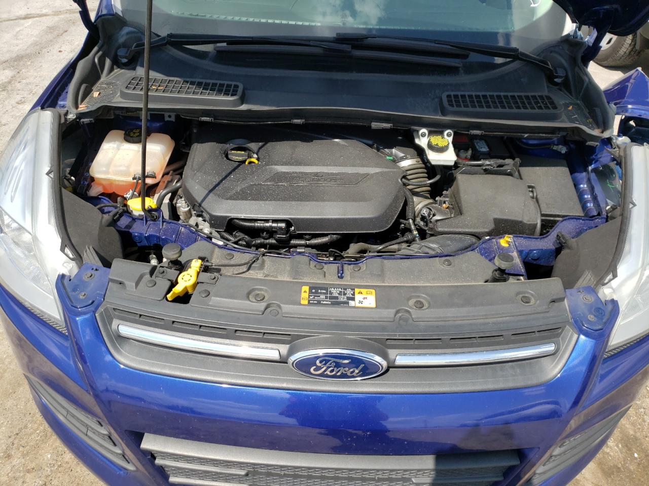 Photo 7 from auction – 2015 FORD ESCAPE SE with VIN 1FMCU0GX4FUA19264