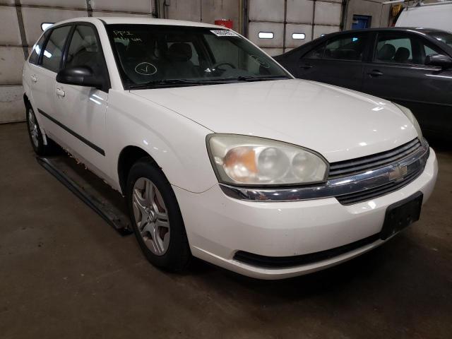 CHEVROLET MALIBU 2004 with VIN 1G1ZS62874F217600 - Photo from auction