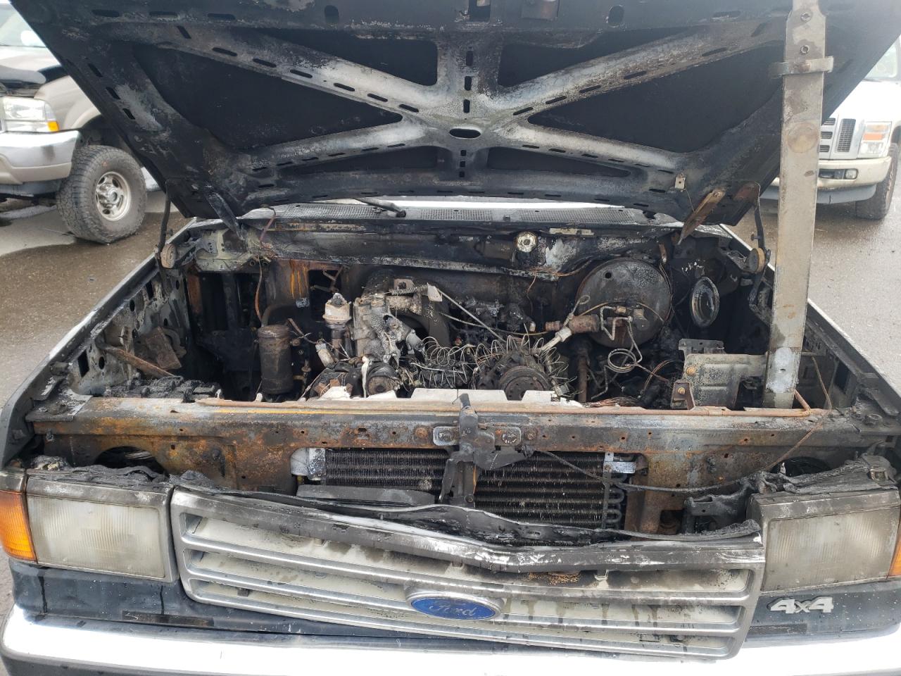 Photo 17 from auction – 1989 FORD BRONCO U10 with VIN 1FMEU15H3KLA65016