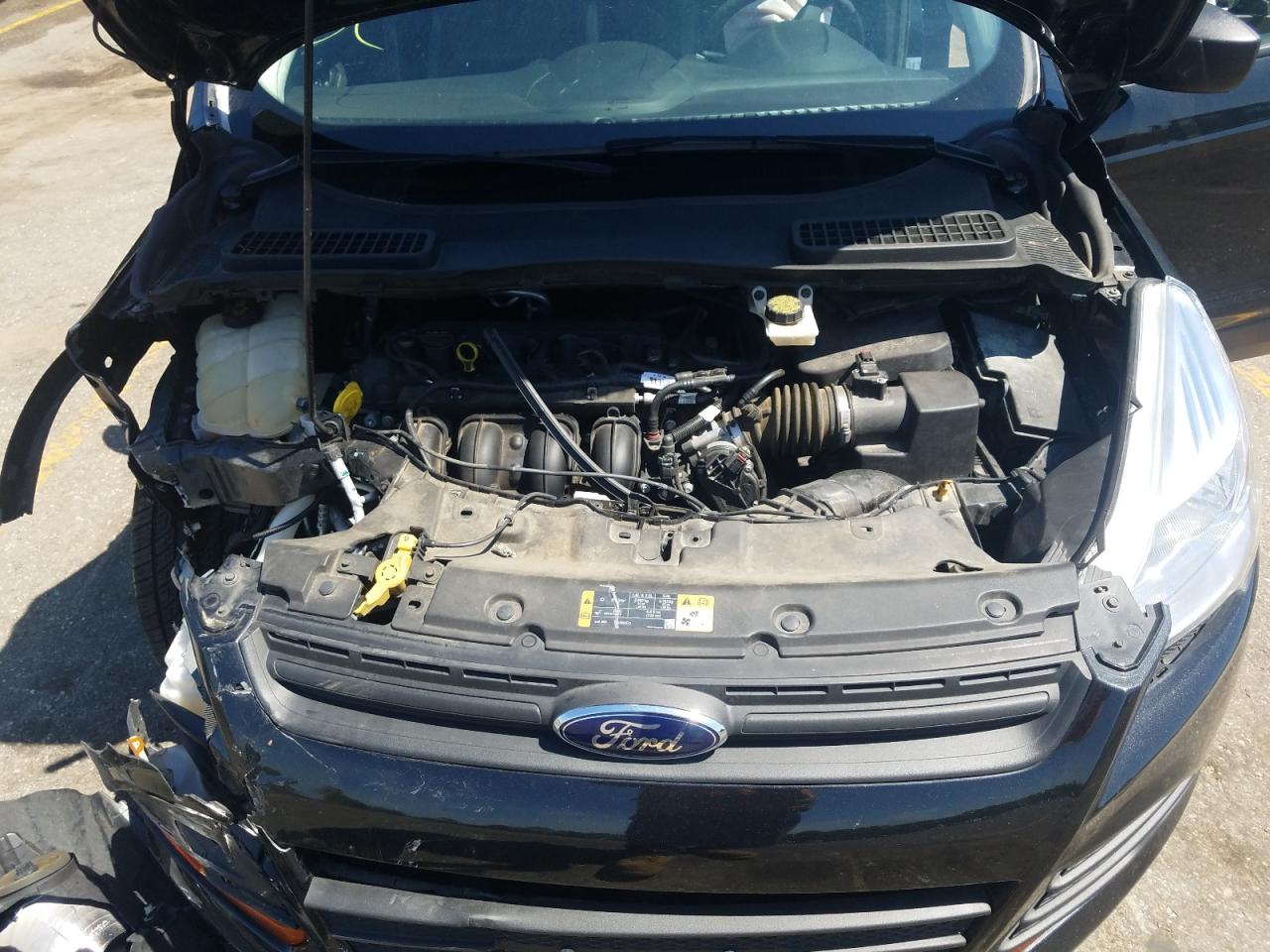 Photo 7 from auction – 2014 FORD ESCAPE S with VIN 1FMCU0F73EUE04265