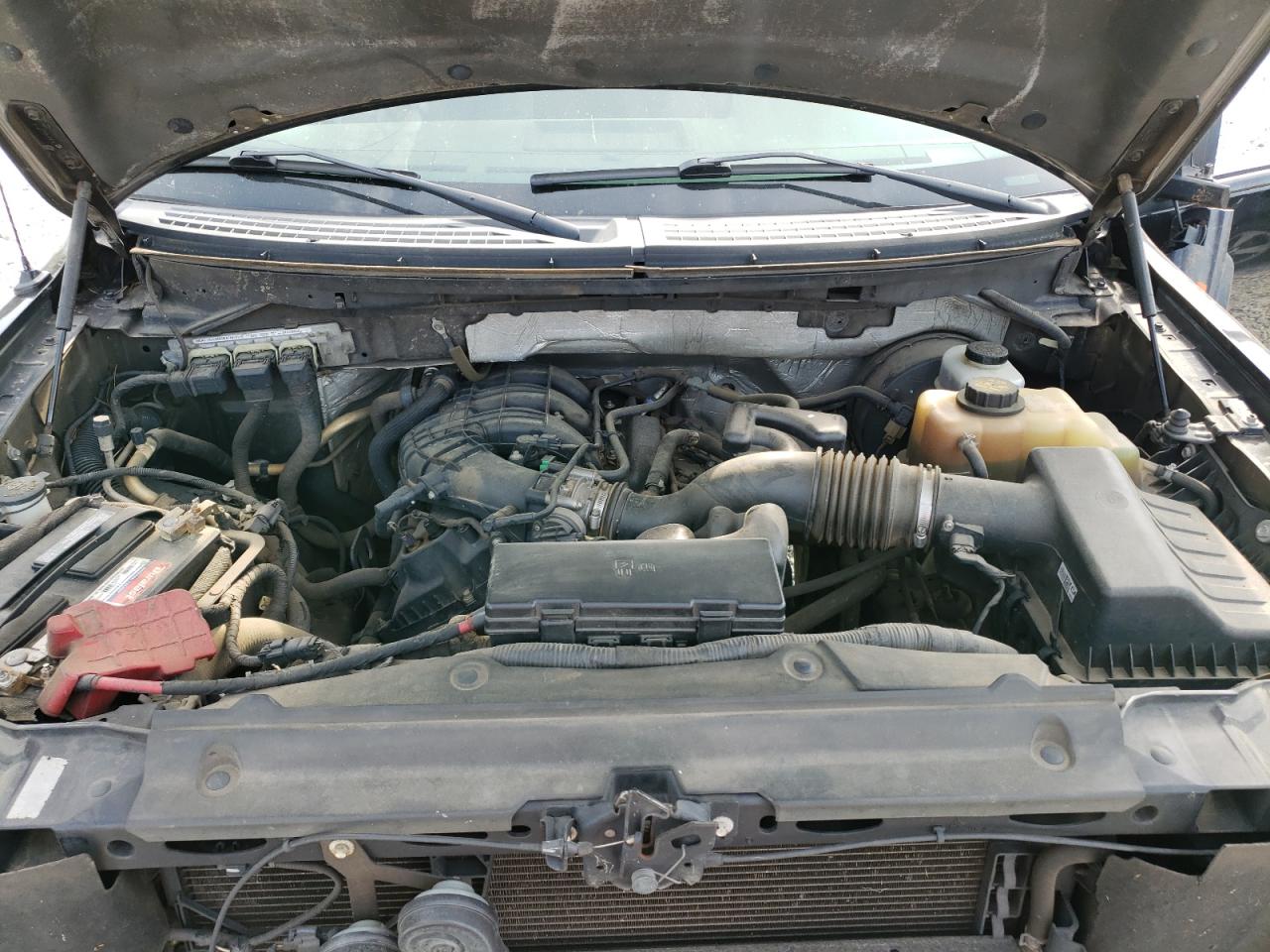 Photo 7 from auction – 2012 FORD F150 SUPER with VIN 1FTEW1CM2CKD02004