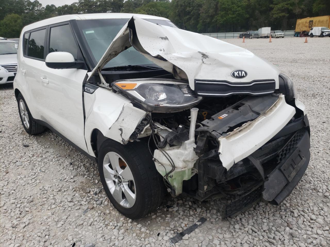 KIA SOUL 2019 with VIN KNDJN2A23K7691309 - Photo from auction