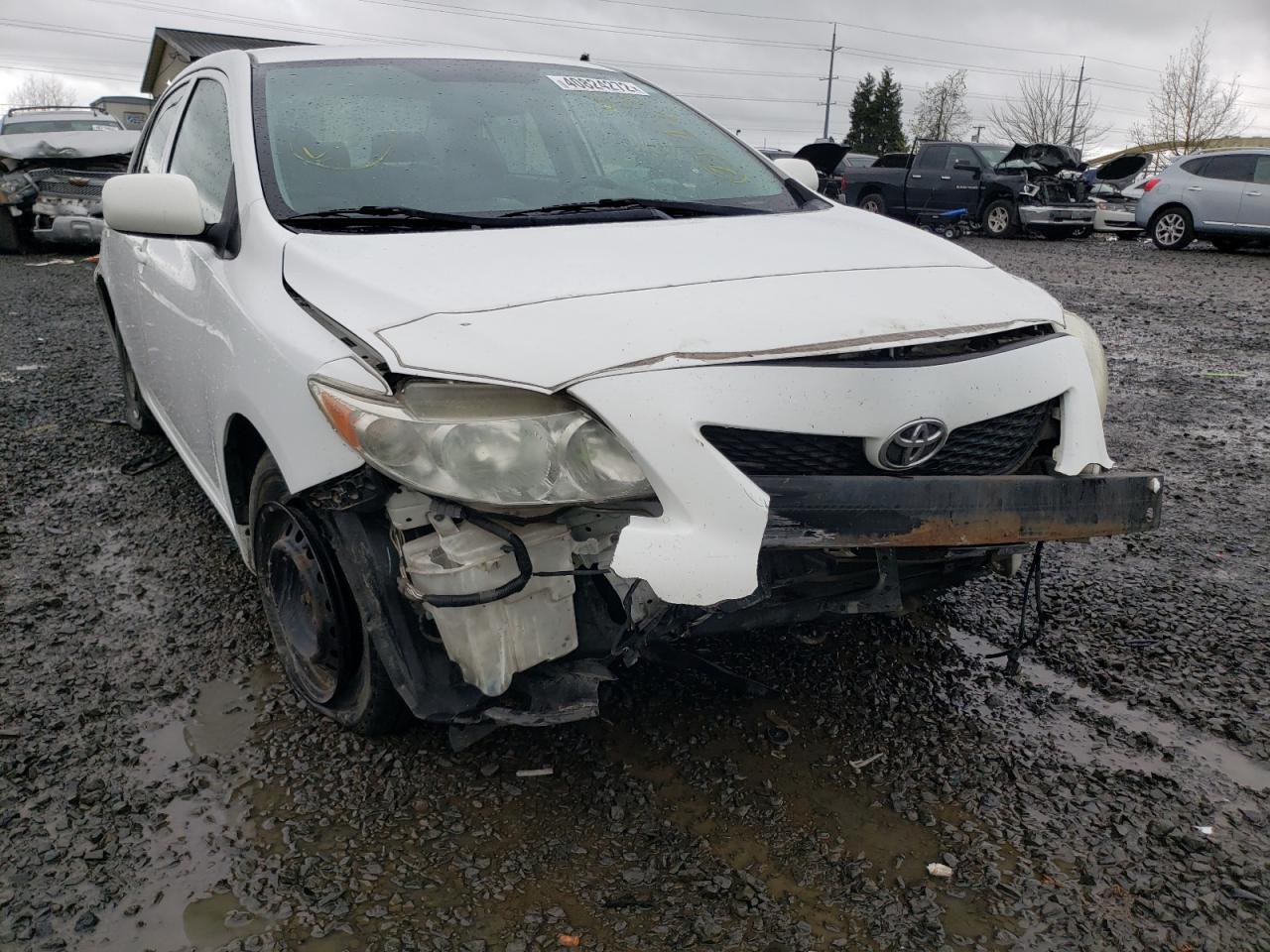 Photo 9 from auction – 2009 TOYOTA COROLLA BA with VIN JTDBL40E499068992
