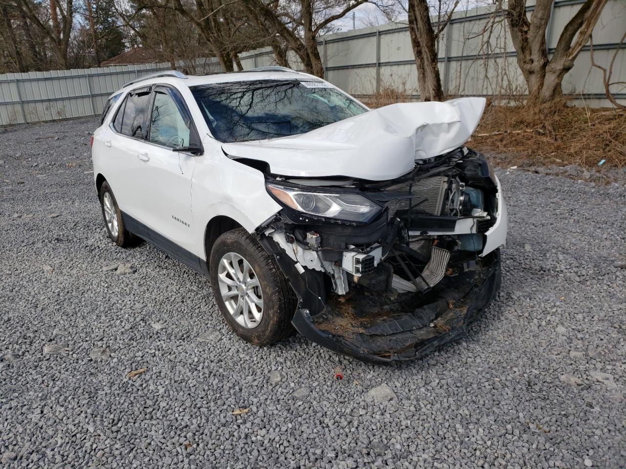 CHEVROLET EQUINOX LT 2019 with VIN 2GNAXUEV4K6152666 - Photo from auction