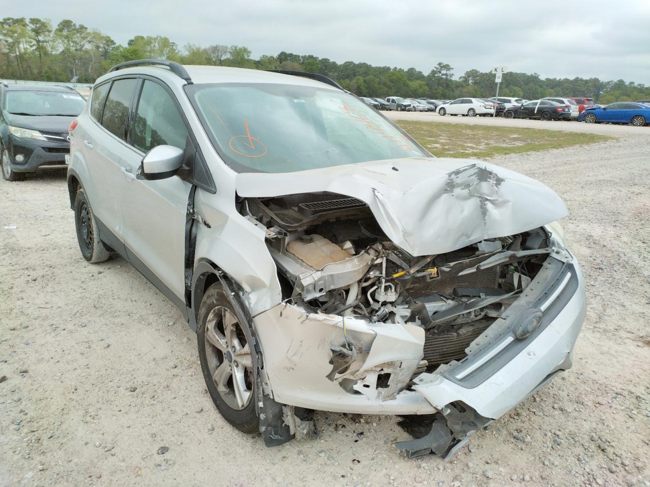 FORD ESCAPE SE 2014 with VIN 1FMCU0G92EUE51772 - Photo from auction