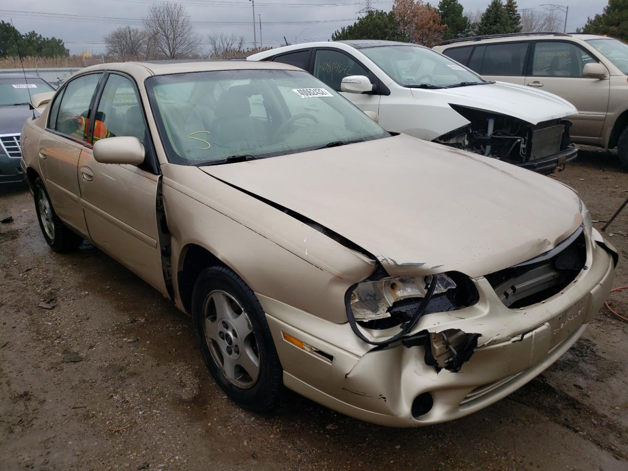 CHEVROLET MALIBU LS 2003 with VIN 1G1NE52J23M704250 - Photo from auction