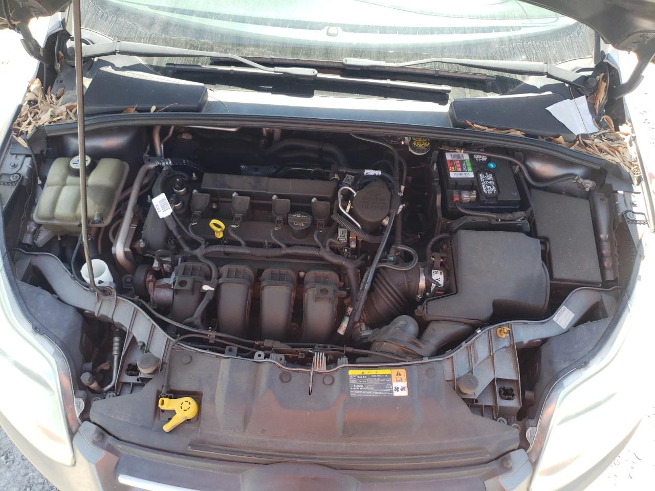 Photo 7 from auction – 2012 FORD FOCUS SE with VIN 1FAHP3F26CL142063