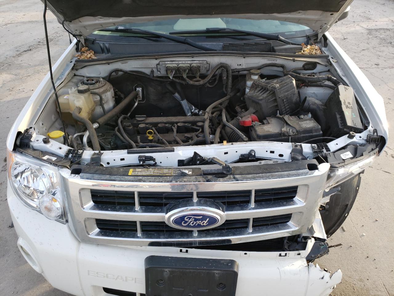 Photo 7 from auction – 2009 FORD ESCAPE XLT with VIN 1FMCU93789KB70201