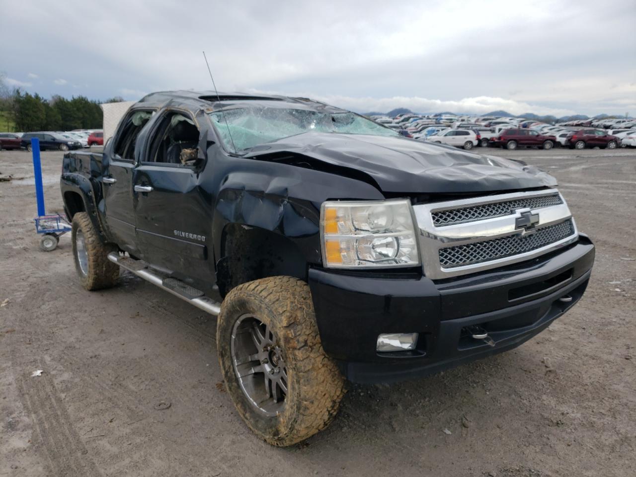 CHEVROLET SILVERADO 2011 with VIN 3GCPKTE31BG117386 - Photo from auction