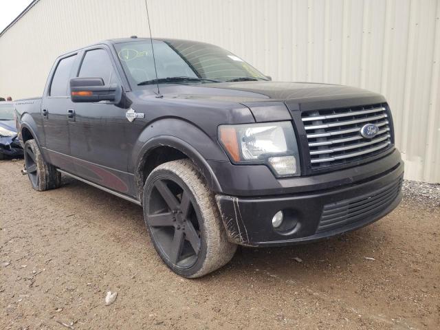 FORD F150 SUPER 2010 with VIN 1FTEW1CV4AFB66702 - Photo from auction