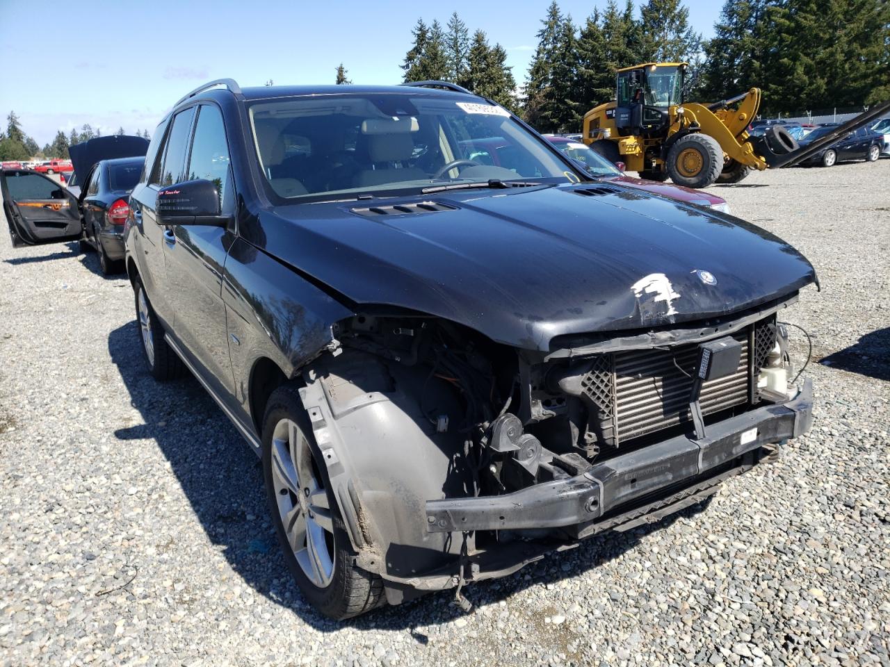 MERCEDES-BENZ ML 350 BLU 2012 with VIN 4JGDA2EB2CA020085 - Photo from auction