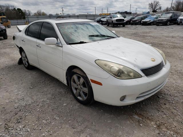LEXUS ES 330 2005 with VIN JTHBA30G555134273 - Photo from auction