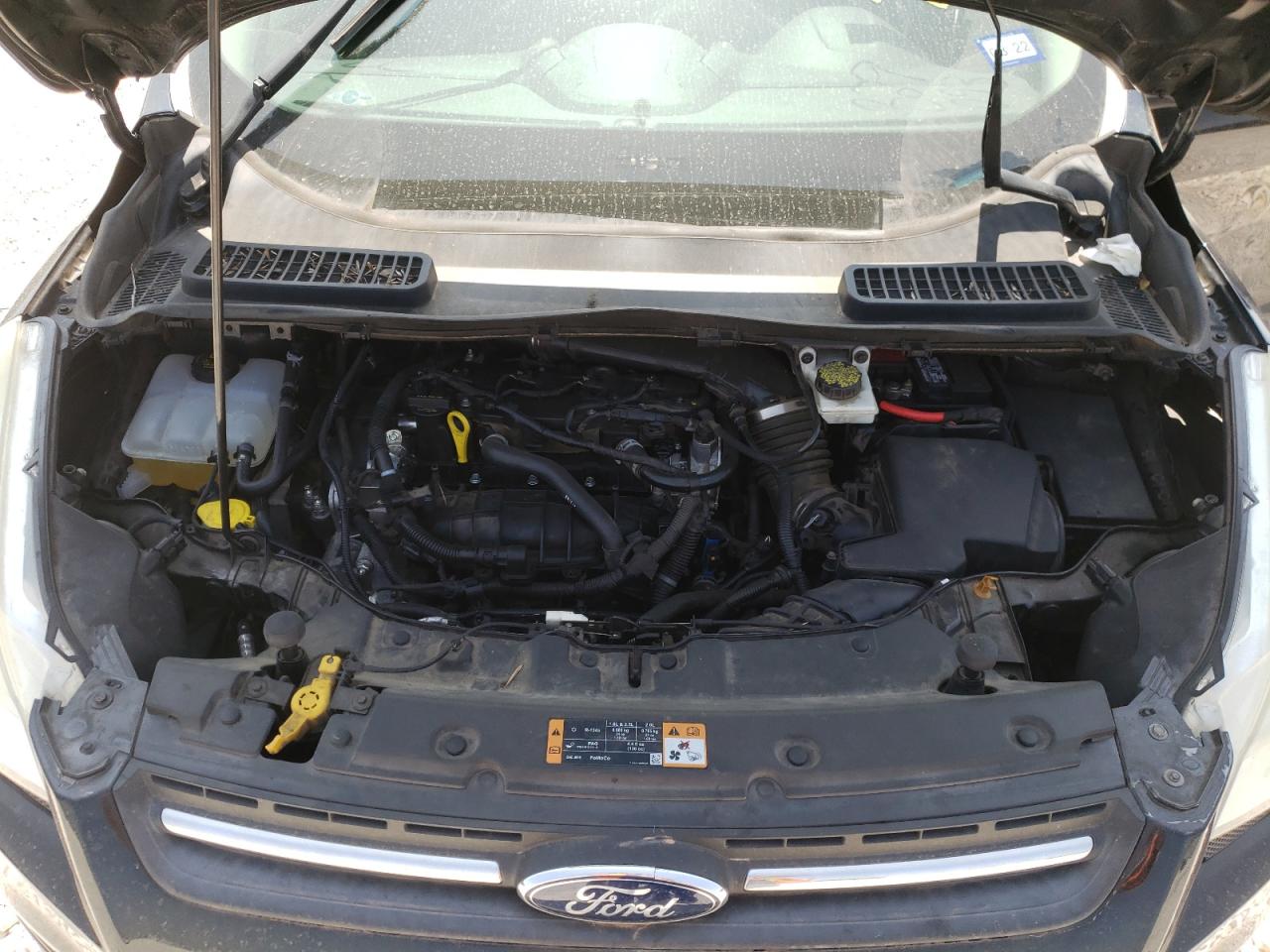 Photo 7 from auction – 2014 FORD ESCAPE SE with VIN 1FMCU0GX7EUB29093