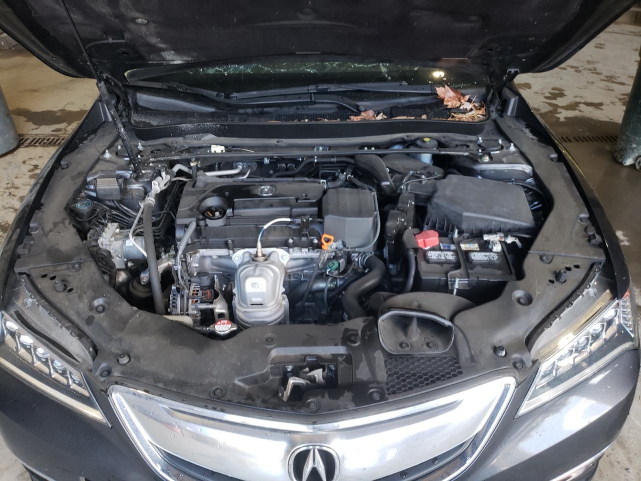 Photo 7 from auction – 2015 ACURA TLX TECH with VIN 19UUB1F54FA013908