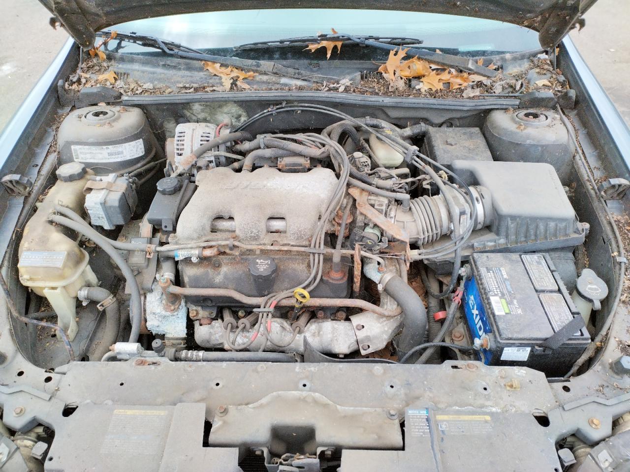 Photo 7 from auction – 2003 CHEVROLET MALIBU with VIN 1G1ND52J73M704361
