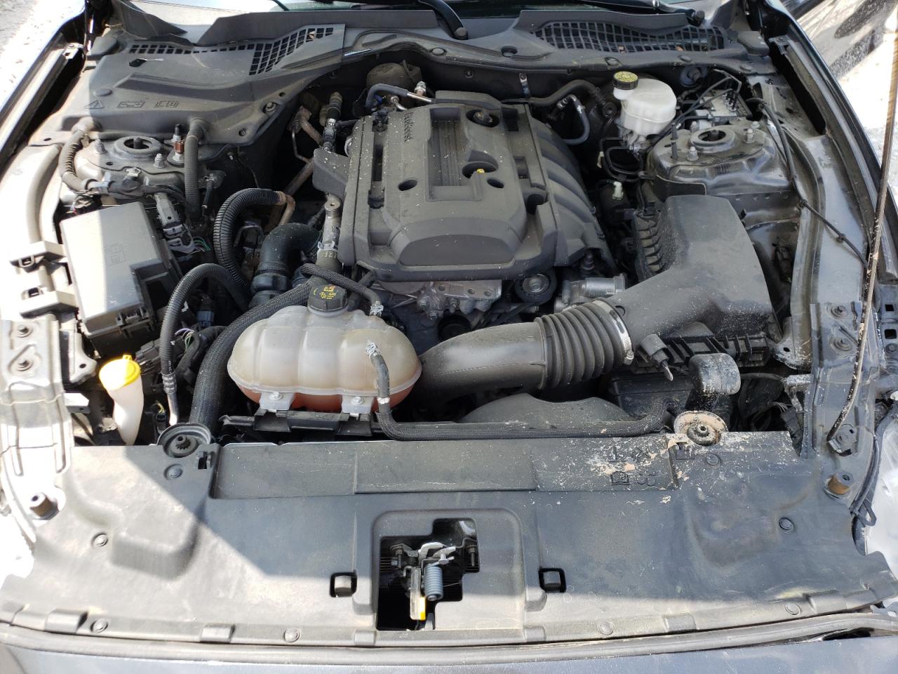 Photo 7 from auction – 2019 FORD MUSTANG with VIN 1FA6P8TH5K5186488