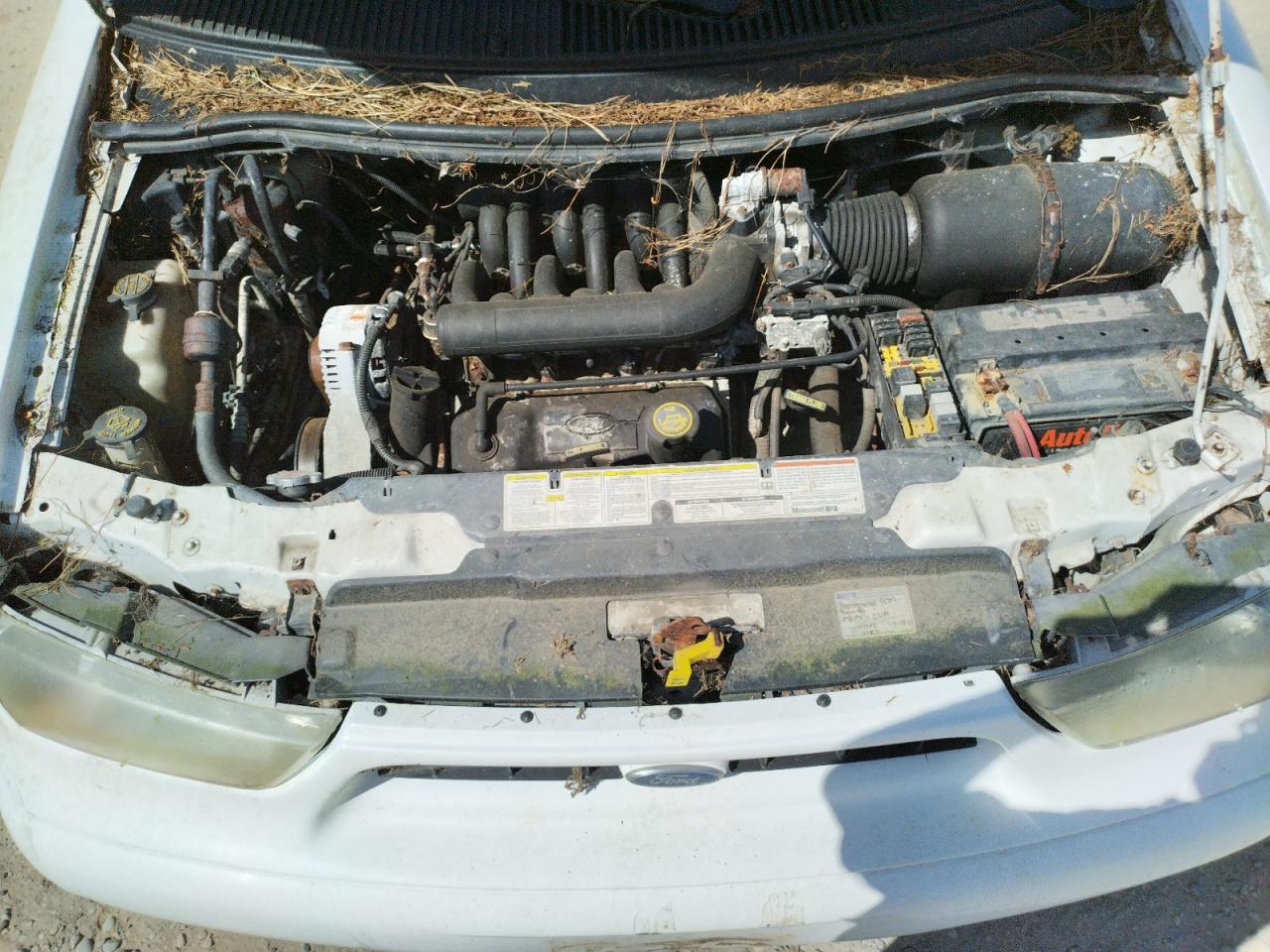 Photo 7 from auction – 1998 FORD WINDSTAR with VIN 2FTZA5446WBC60649