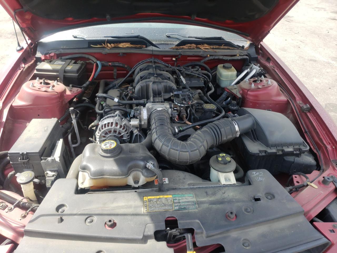 Photo 7 from auction – 2006 FORD MUSTANG with VIN 1ZVFT80N565145040