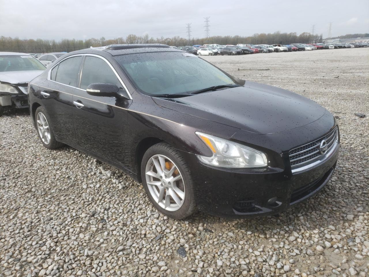 NISSAN MAXIMA S 2011 with VIN 1N4AA5AP0BC842032 - Photo from auction