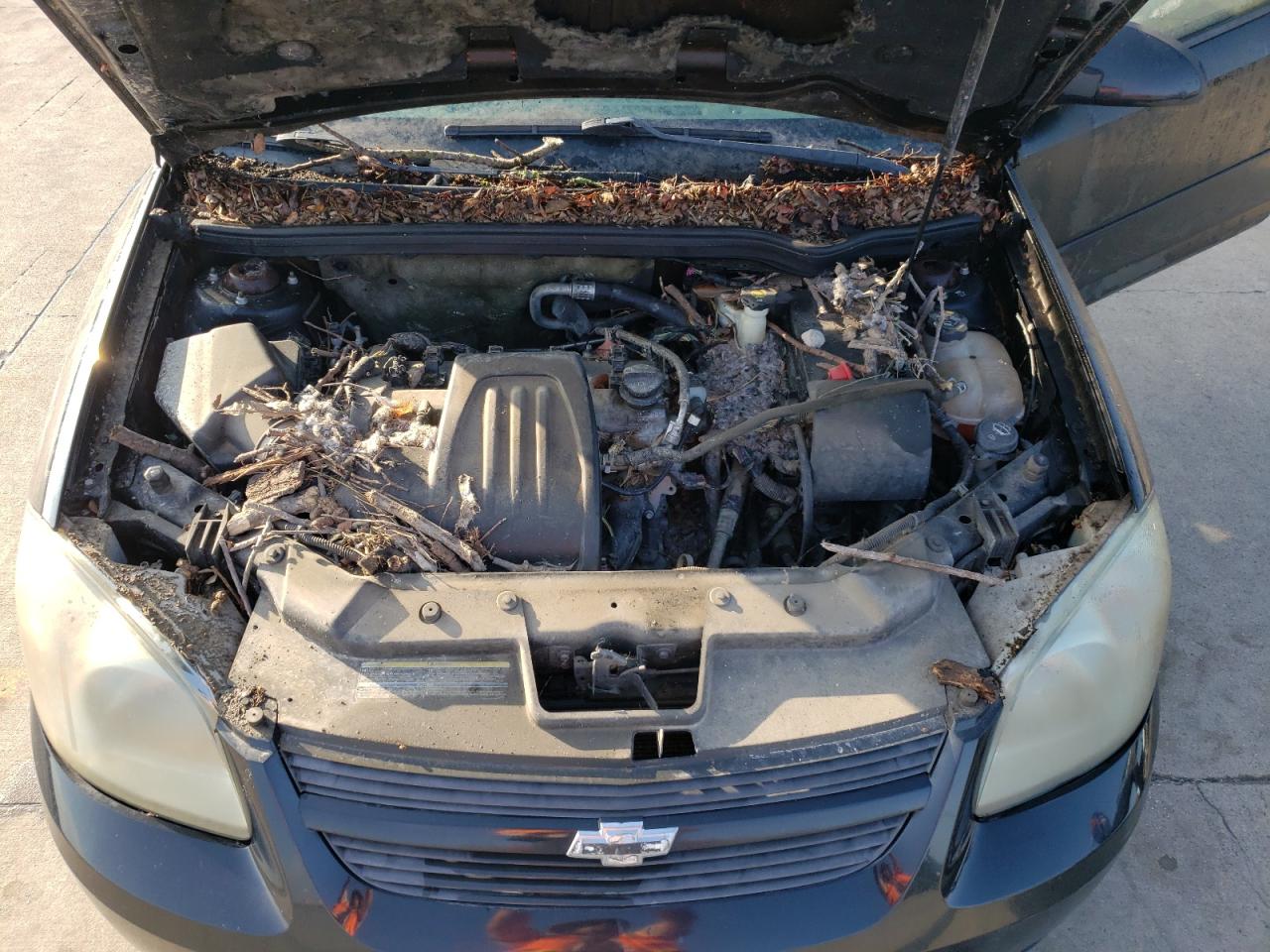 Photo 7 from auction – 2010 CHEVROLET COBALT 1LT with VIN 1G1AD1F54A7121018